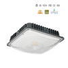 LED Slim Canopy-IP65