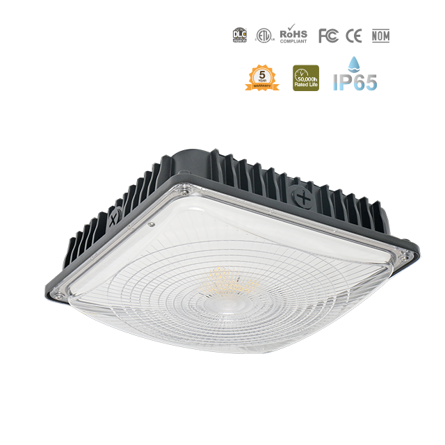 LED Slim Canopy-IP65